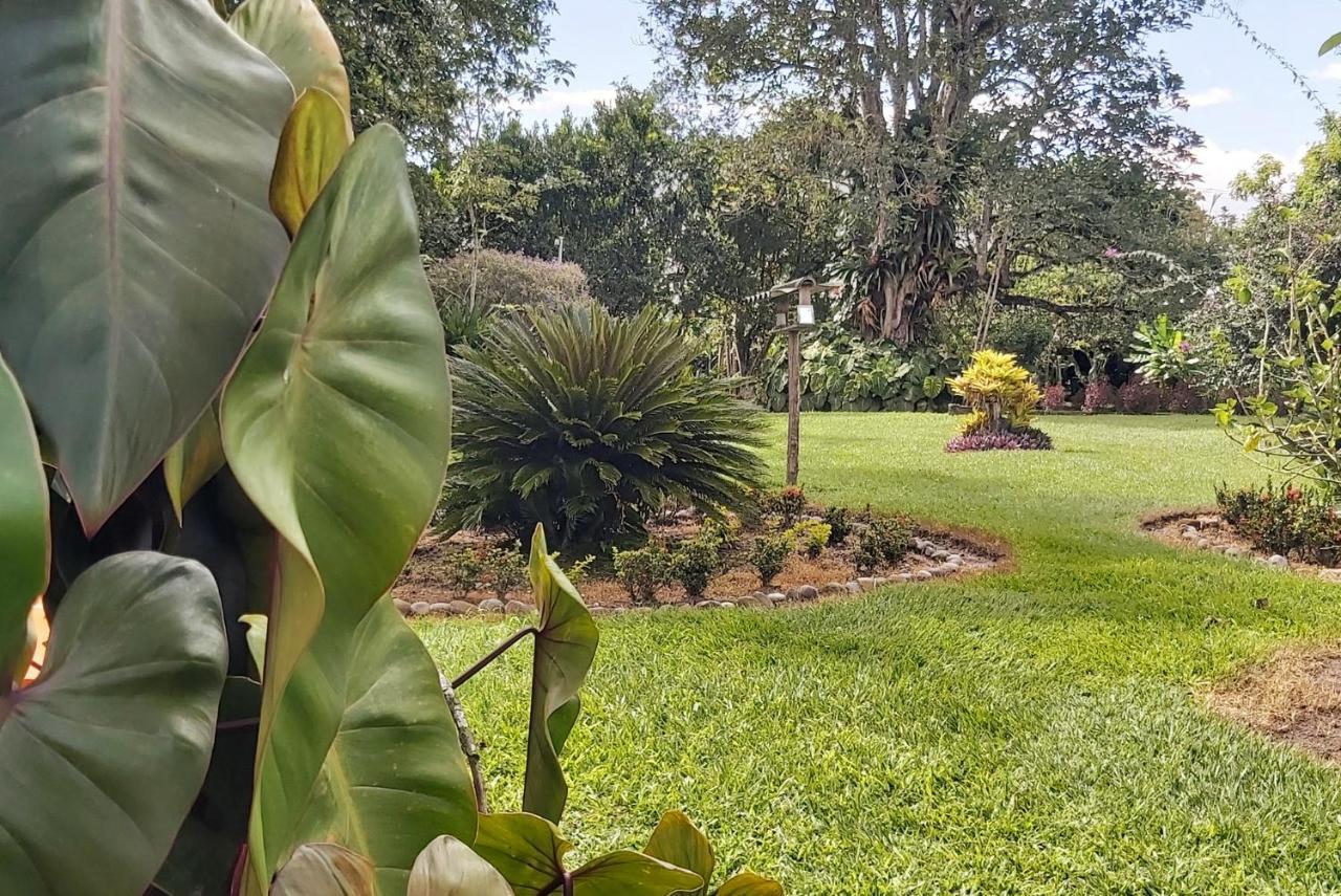 Balsora Hotel Boutique El Edén Eksteriør bilde